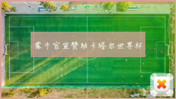 蒙牛官宣赞助卡塔尔世界杯
