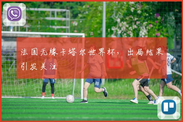 法国无缘卡塔尔世界杯，出局结果引发关注