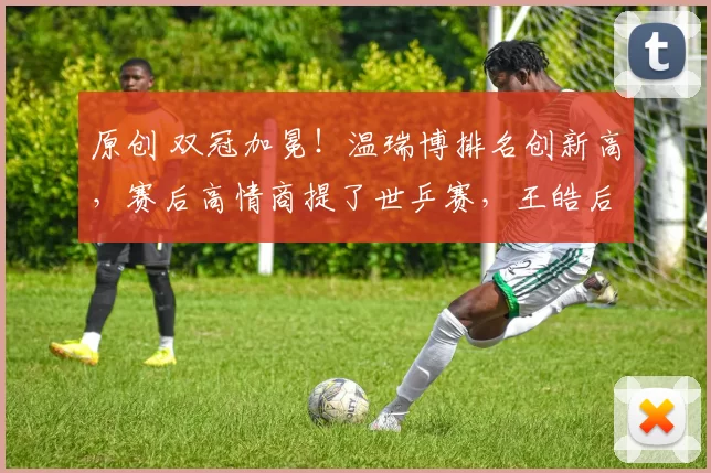 原创 双冠加冕！温瑞博排名创新高，赛后高情商提了世乒赛，王皓后悔了吗？