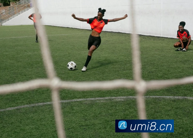 九游j9官网入口登录APP 体育赛事宣传图